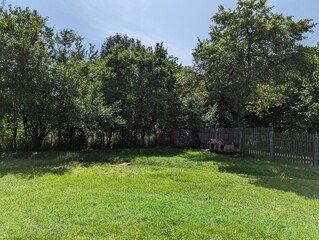 Serene backyard oasis with lush green lawn, mature trees, and a rustic wooden fence framing a peaceful retreat