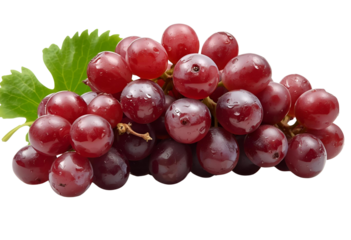 Wet grapes bunch isolated showcasing freshness, juiciness, and natural fruit appeal.