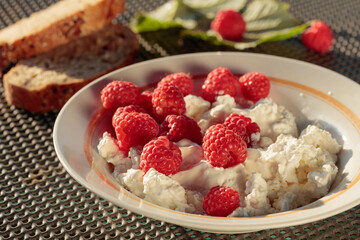 Ricotta or cottage cheese with fresh raspberries.