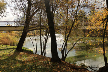 Autumn trees with yellow leaves along a riverbank, suspension bridge in the background.