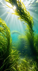 Lush underwater seaweed forest, sunlight filtering through the aquatic plants, creating a vibrant and serene underwater scene.