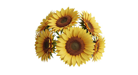 Close-up of yellow sunflowers in a circular arrangement, isolated on black