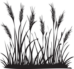Black silhouette of tall wild grass and wheat plants on white background
