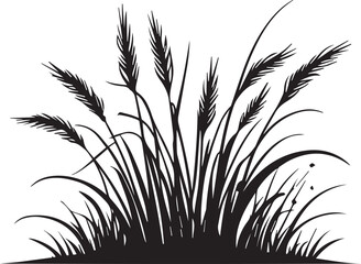 Black silhouette of tall wild grass and wheat plants on white background