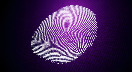 Fingerprint pattern on purple, biometric security scan with unique fingerprint identification. Fingerprint technology is crucial in modern secure personal identification and access control.