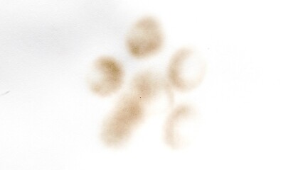 Scorched paper with black burn stains and aged look. Paper burned with black marks. Old paper background with fire marks and weathered texture.