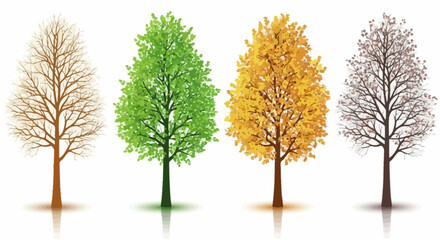 Fototapeta premium Four seasons trees, vector illustration design