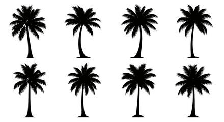 Silhouette of palm tree in vector format