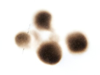 Black burn marks on aged paper with vintage stain details. Paper burned with black marks. Old fire damaged paper with textured burn effects.