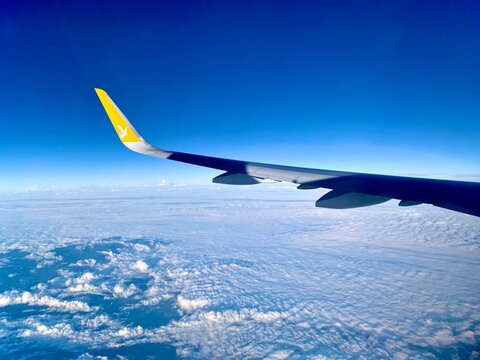 Pegasus Airlines Airplane Wing Brand Symbol, White Winged Horse Logo, Earth Horizon, High Altitude Aerial View Over Europe, Blue Sky &ndash; September 2025