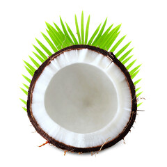 cut palm coconut fruit with leaves, cutout in transparent background, png format