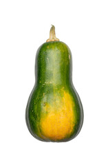 Ripe Green and Yellow Butternut Squash on Transparent  Background - Stock Photo