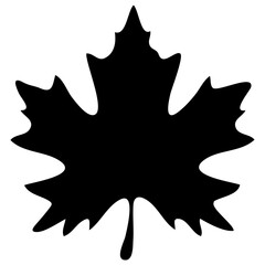 Silhouette of a maple leaf with distinct lobes and veins against a plain white background image viewable