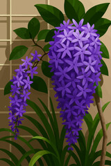 The image shows a cluster of vibrant purple flowers resembling a wreath or cascading bunch, blooming among lush green leaves. The background features a beige tiled wall, creating a clean and elegant c