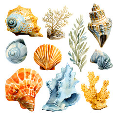 Watercolor seashells and coral collection isolated on transparent background