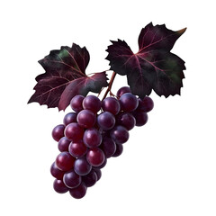 Fototapeta premium Lush Dark Purple Grapes on the Vine with Dramatic Burgundy Leaves, Perfect for Wine and Autumn Themes
