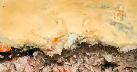 Russian homemade meat jelly.Hearty cold jelly.Meat aspic.Meat base in jelly.Meat snack in the form of jelly.