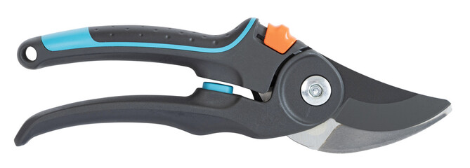 Sécateur de jardin bleu	