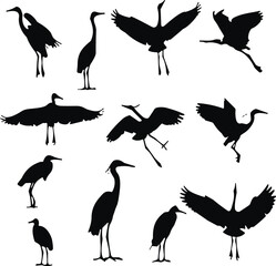 Set of black heron and crane bird silhouettes in various poses, elegant flying and standing forms for nature and design themes