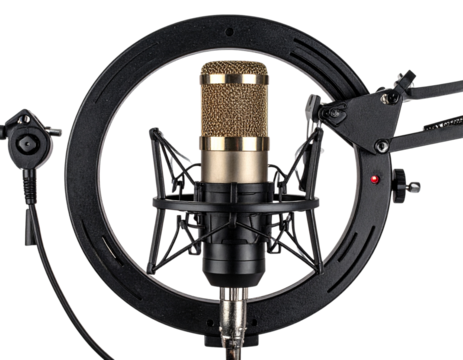 Gold Condenser Microphone Pro Studio Recording, Ring Light, and Shock Mount Kit