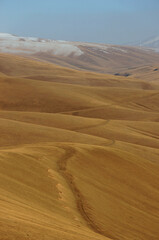 Arid Landscape of the Central Asian Northern Desert