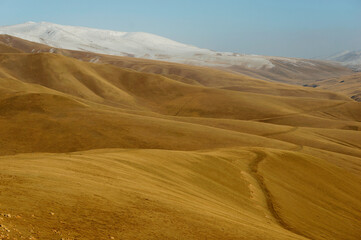Arid Landscape of the Central Asian Northern Desert