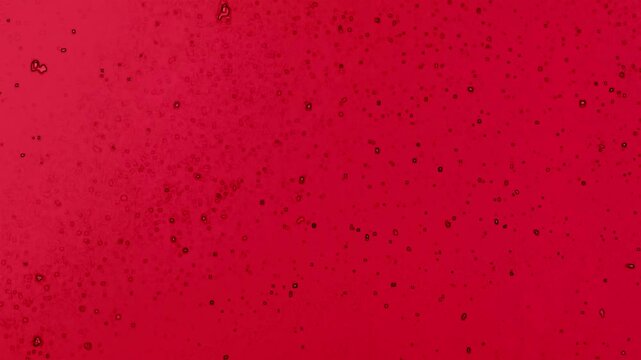 Aufsteigende Partikel Zellen Bluteilchen &ndash; dynamischer roter Hintergrund, chemischen Reaktion, Chemie, Laborwissenschaft, moderne Wissenschaftsvisualisierung, Forschung, Technologie, Biologie