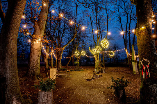 Magical forest clearing illuminated by fairy lights at dusk. - Powered by Adobe