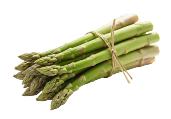 Vibrant green asparagus bunch with tender tips, tied with rustic jute twine, presented diagonally on a transparent background with copy space, photorealistic close-up. Concept of fresh, healthy