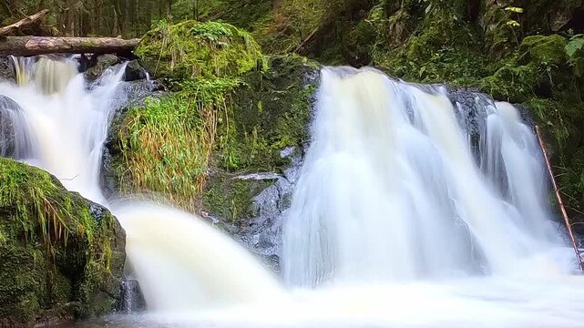 Beeindruckender rauschender Wasserfall in urigem Wald &ndash; wilder Fluss in unber&uuml;hrter Natur, perfekt f&uuml;r Abenteuer- und Reisefotografie, Cascade, Gischt, Energie, Umwelt, Langzeitbelichtung
