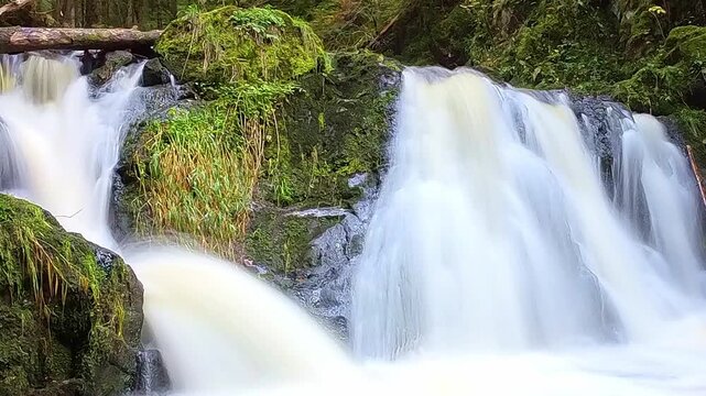 Beeindruckender rauschender Wasserfall in urigem Wald &ndash; wilder Fluss in unber&uuml;hrter Natur, perfekt f&uuml;r Abenteuer- und Reisefotografie, Cascade, Gischt, Energie, Umwelt, Langzeitbelichtung
