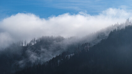 Misty clouds drift over a dark, forested mountain slope.