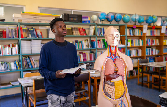 Student learning human anatomy using a model in a high school classroom
