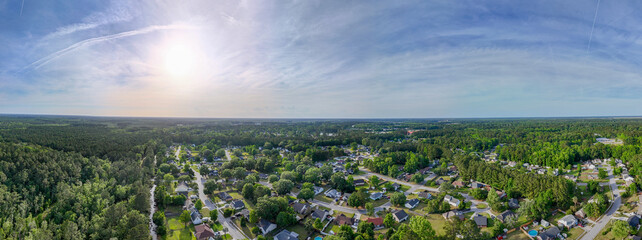 Aerial landscape of Richmond Hill trees in forest sunny summer day in Bryan County Georgia