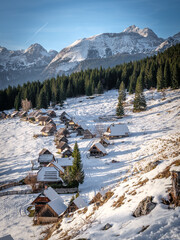 Snowy mountain village with pine forest and peaks.