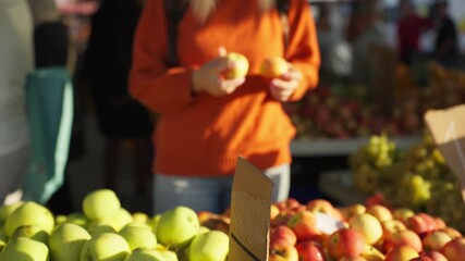 Sunny morning at farmers market with woman carefully selecting fresh red and green apples from vibrant fruit stand, focusing on organic, locally grown produce for healthy lifestyle