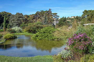 A picturesque view of the botanical garden with a clear pond, lush greenery, and vibrant flowers on a sunny day. A tranquil natural landscape, perfect for relaxation, travel, and contemplation.