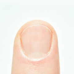 Fototapeta premium Close-up of fingernail with clear nail bed on caucasian skin.