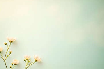 Obraz premium Delicate White Flowers on Branch Against Soft Pastel Background
