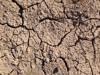 cracked earth texture