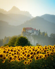Sunflowers bloom below a castle on a misty mountain.