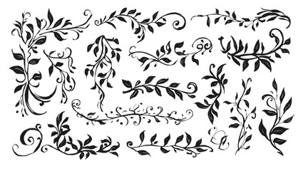 Collection of hand drawn black floral vine and leaf decorative elements