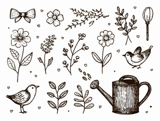 Conjunto de elementos florais e pássaros desenhados à mão, incluindo flores, folhas, regador e laço, em estilo vetorizado, ideal para design.