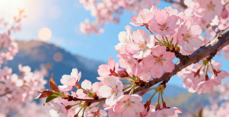 Obraz premium Spring outdoor cherry blossom fresh illustration background wallpaper