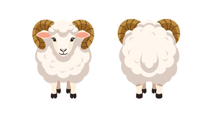 Ram Illustration - Front and Back View of a Horned Sheep.