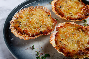 scallop shells, stuffed, baked with cheese, in the oven, julienne with scallops,