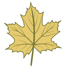 Yellow orange maple leaf vector png illustration with autumn theme