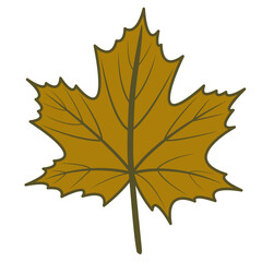 Brown maple leaf vector png illustration with autumn theme