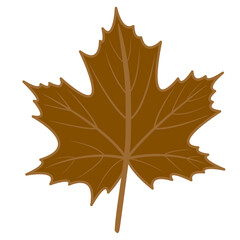 autumn, foliage, nature, brown, maple, fall, illustration, leaf, leaves, design, season, orange, yellow, plant, seasonal, pattern, october, decoration, natural, graphic, red, botanical, vector, thanks
