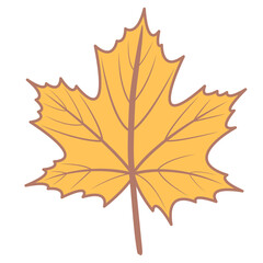 Golden Tainoi maple leaf vector png illustration with autumn theme